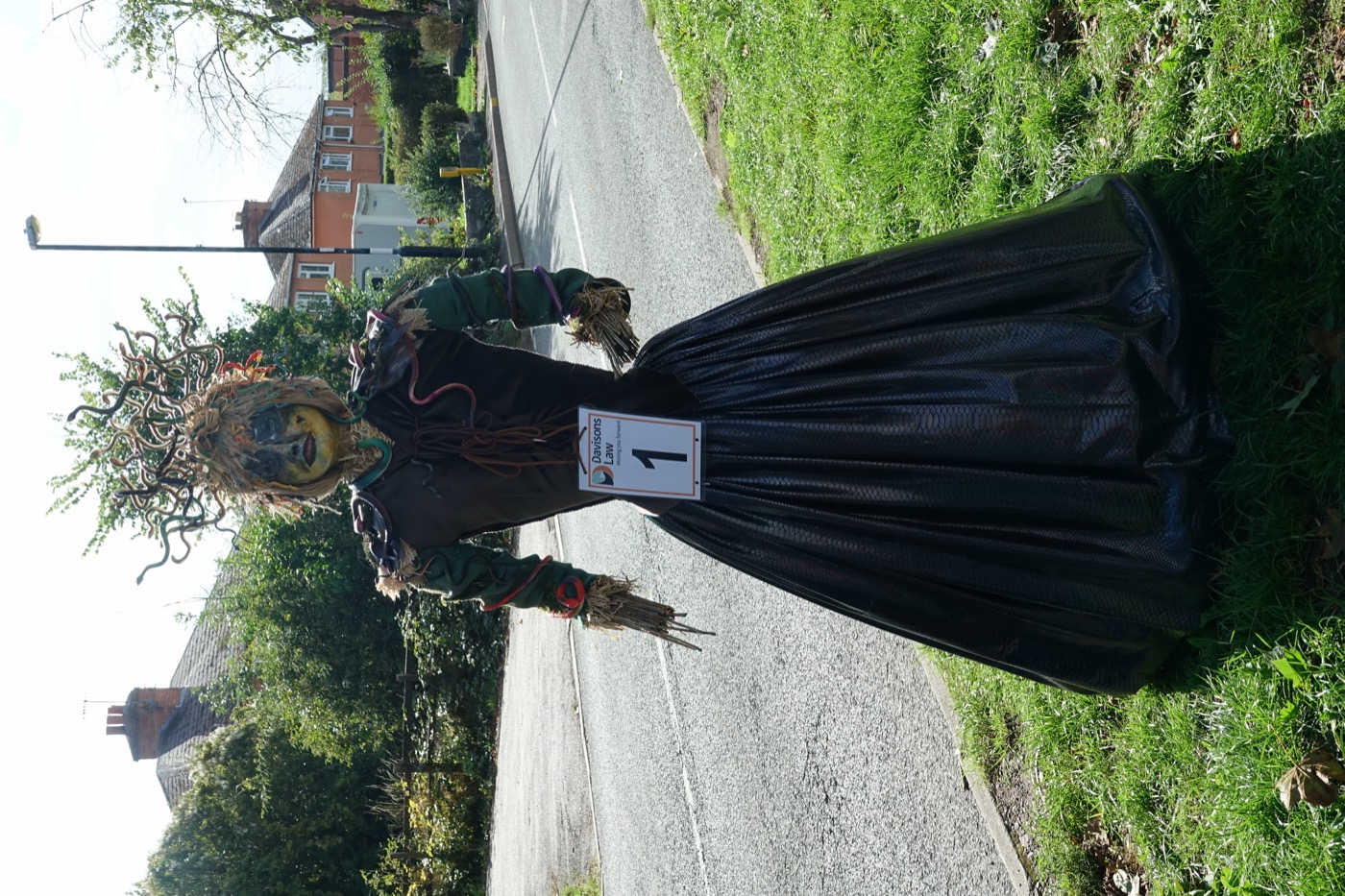 Scarecrow entry 2026
