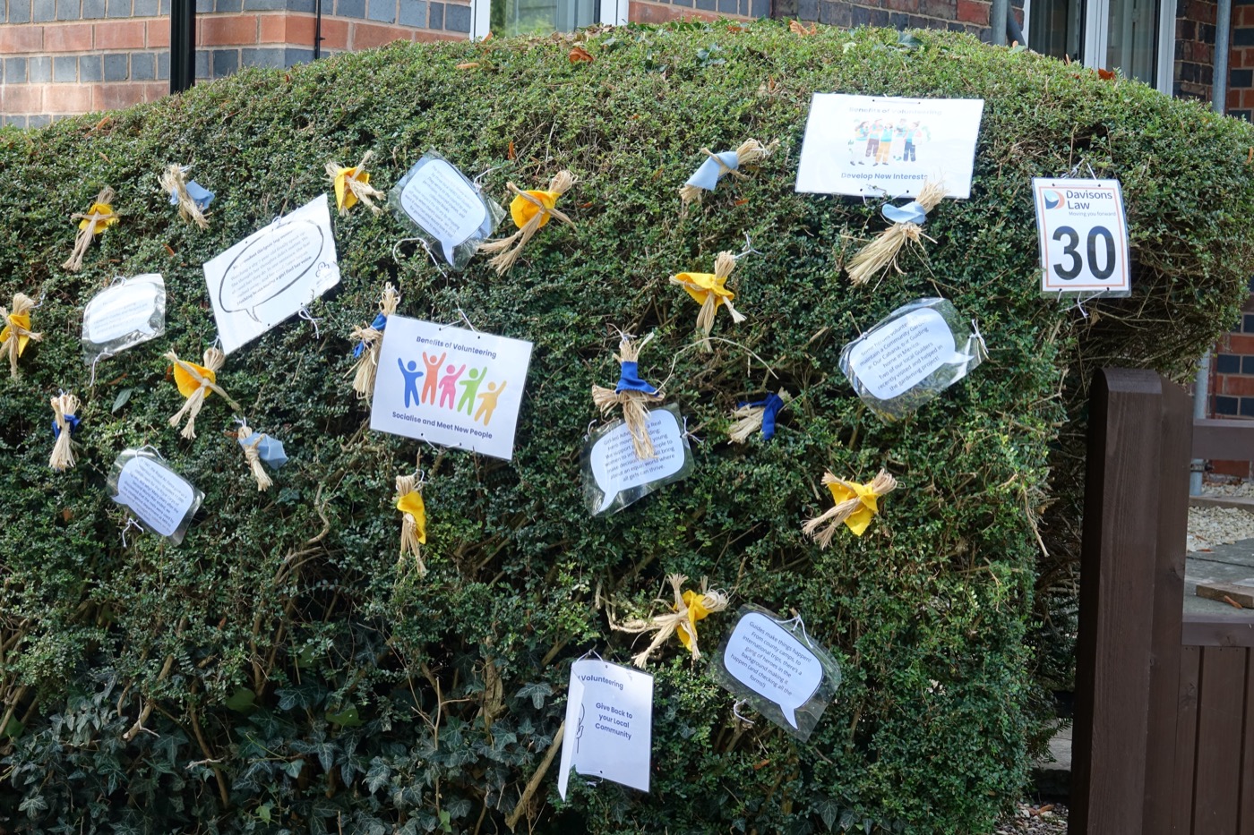 Scarecrow entry 2026