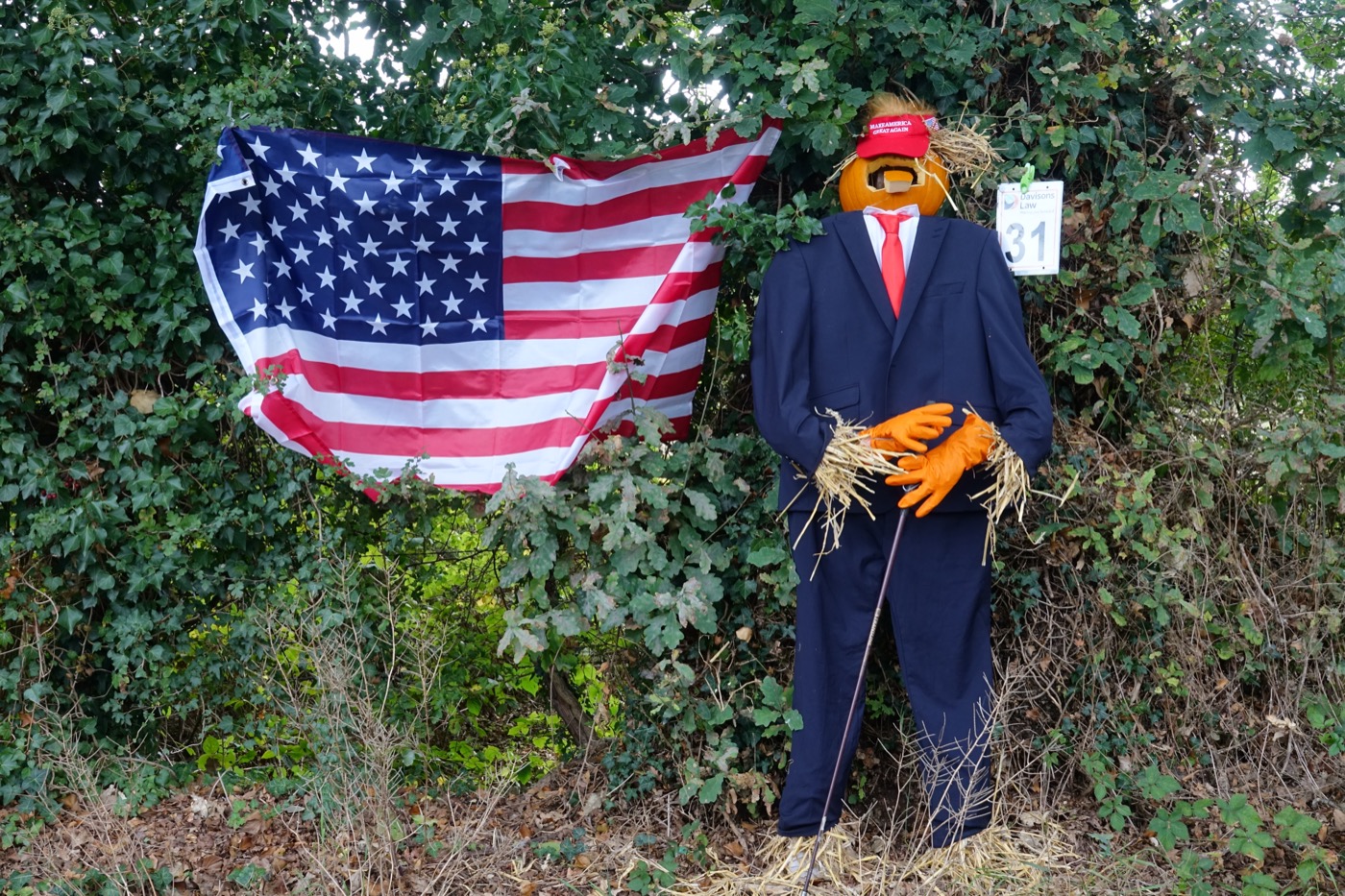 Scarecrow entry 2026