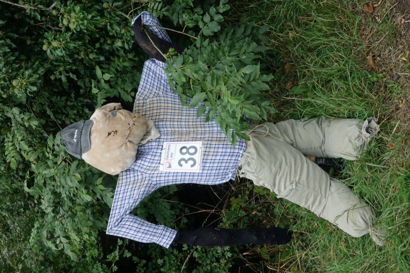 Scarecrow entry 2026