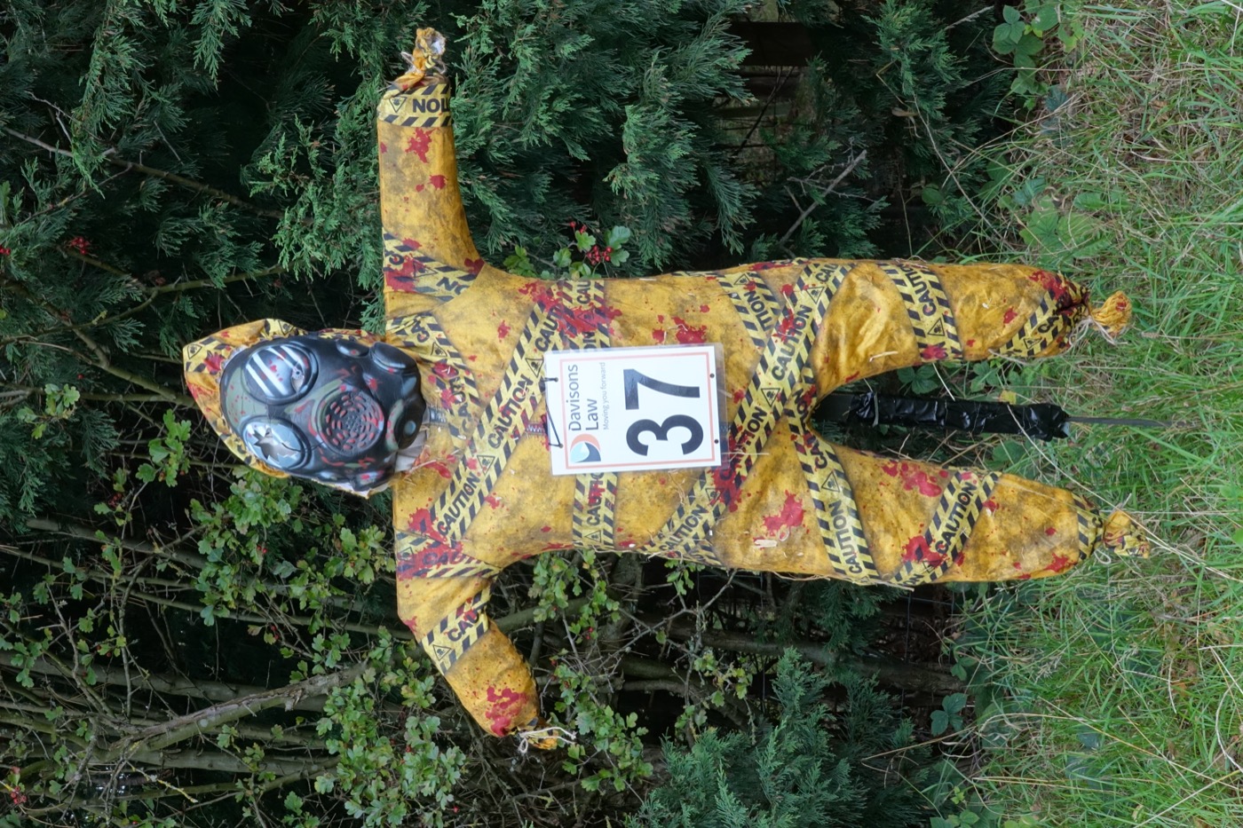 Scarecrow entry 2026