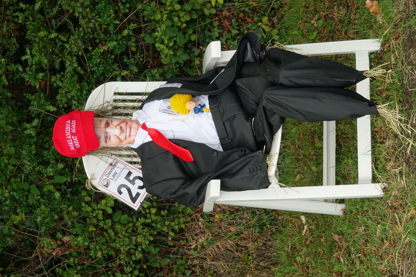 Scarecrow entry 2026