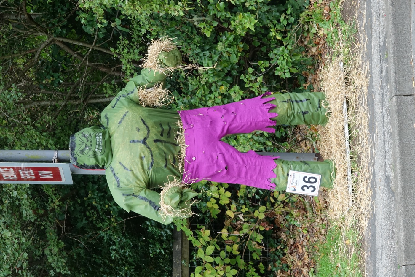 Scarecrow entry 2026