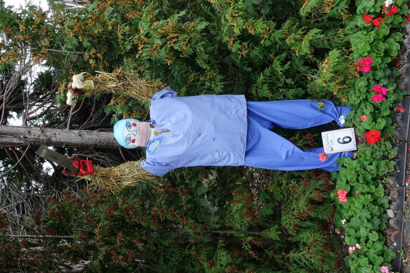 Scarecrow entry 2026