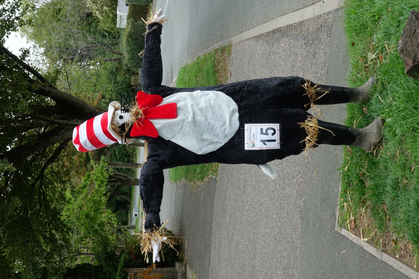 Scarecrow entry 2026